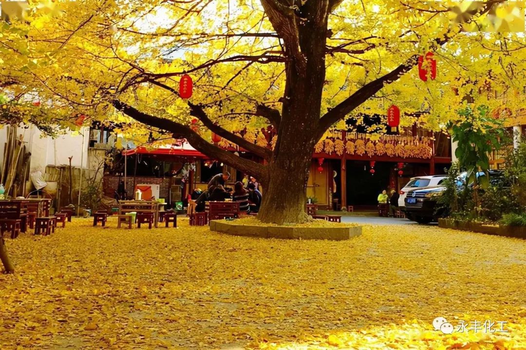 七彩云南，邂逅浪漫
